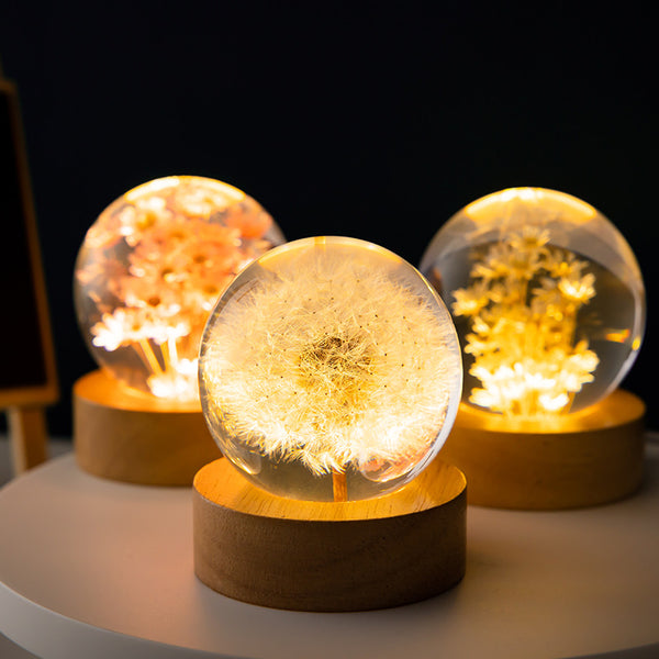 Luminous 3D Dandelion Crystal For Birthday and Christmas Gifts
