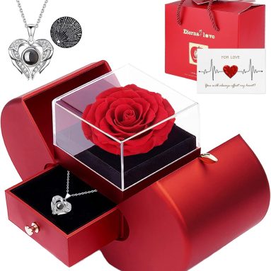Preserved Real Rose with I love you Necklace